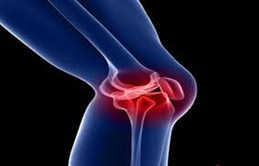 Treatment of  osteoarthritis and joint diseases